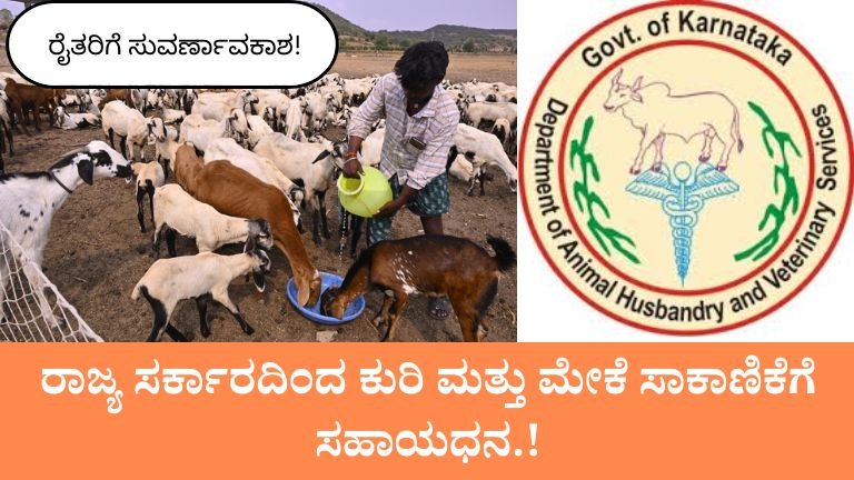 Sheep Farming Subsidy Scheme
